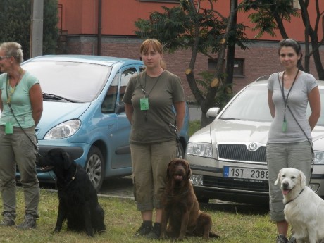 IV. Středočeské derby retrieverů 5.-6.7 (15)