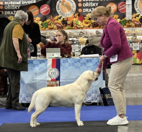 Messenger_creation_98E5D8FD-B338-4F57-9449-0ECD56C1BD84