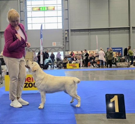 Messenger_creation_E580C5A2-B040-492F-8E73-98D853380AB4