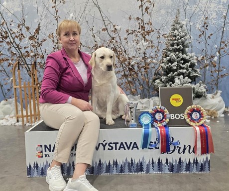 Messenger_creation_3F97CE05-BE5F-4C5B-84EB-3F954FA301C4