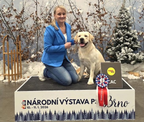 Messenger_creation_27EE2C85-E991-4010-998B-2445886B1331