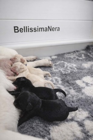 a87b60c5-4196-44bb-bbd1-263c2fbfaa19