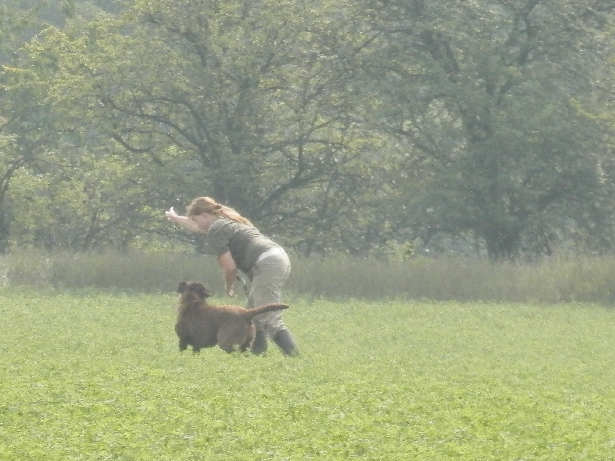 IV. Středočeské derby retrieverů 5.-6.7 (6)