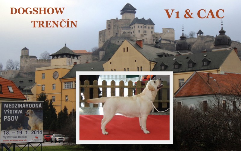 DOGSHOW Trenčín