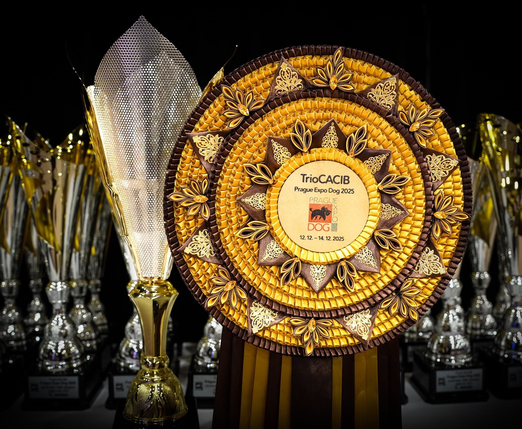 601431938_25044946811844362_2271929659935063111_n