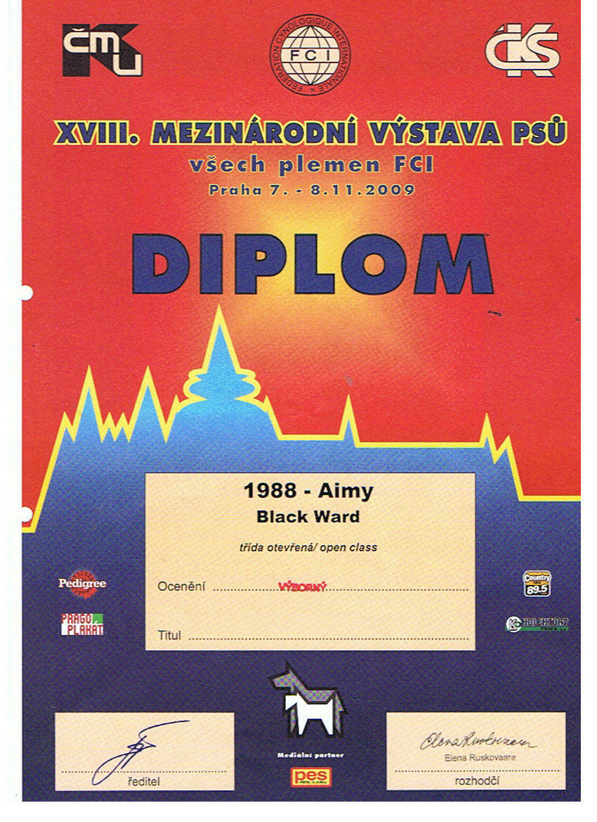 diplom.jpg