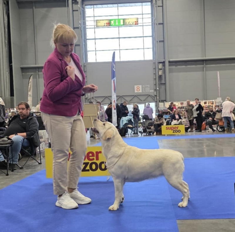 Messenger_creation_7080E6BF-6564-4F18-80CA-9B458048334F