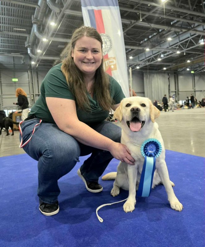 Messenger_creation_31814687-07C1-4E85-96D1-DC8272981B0D