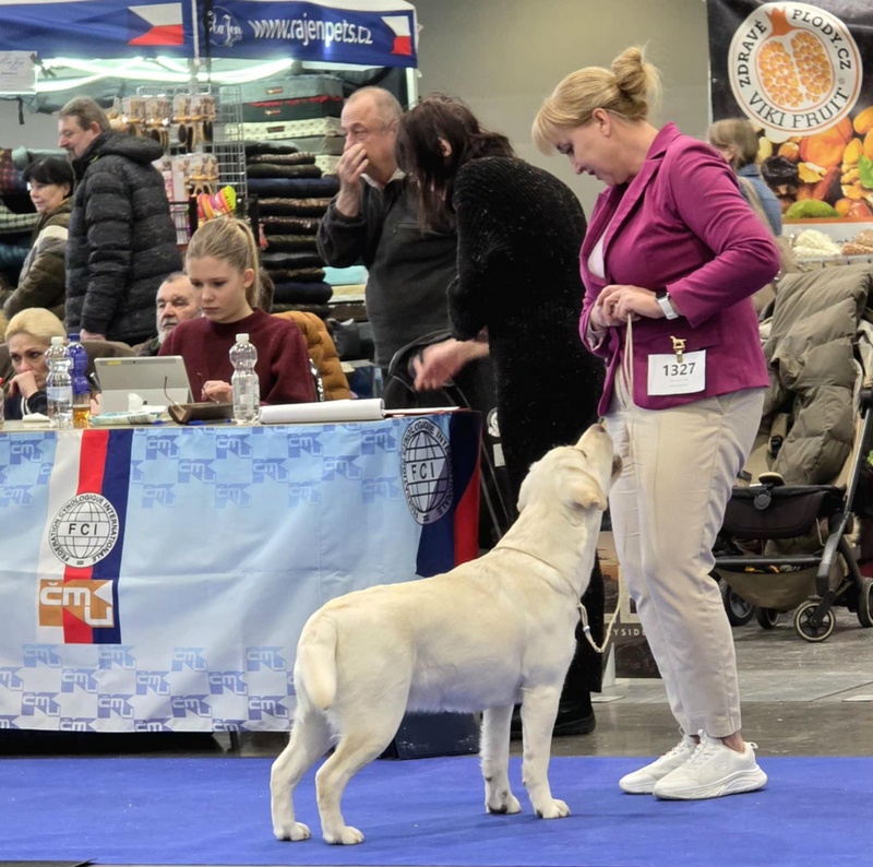 Messenger_creation_03FDEF03-BFEC-4825-A004-BB4185D04238