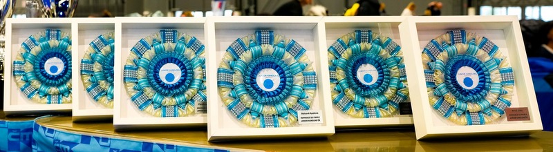 614015033_25252370327768675_3173689464207518421_n