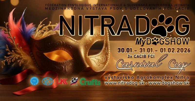 624310287_875473578732706_1154639274080046294_n