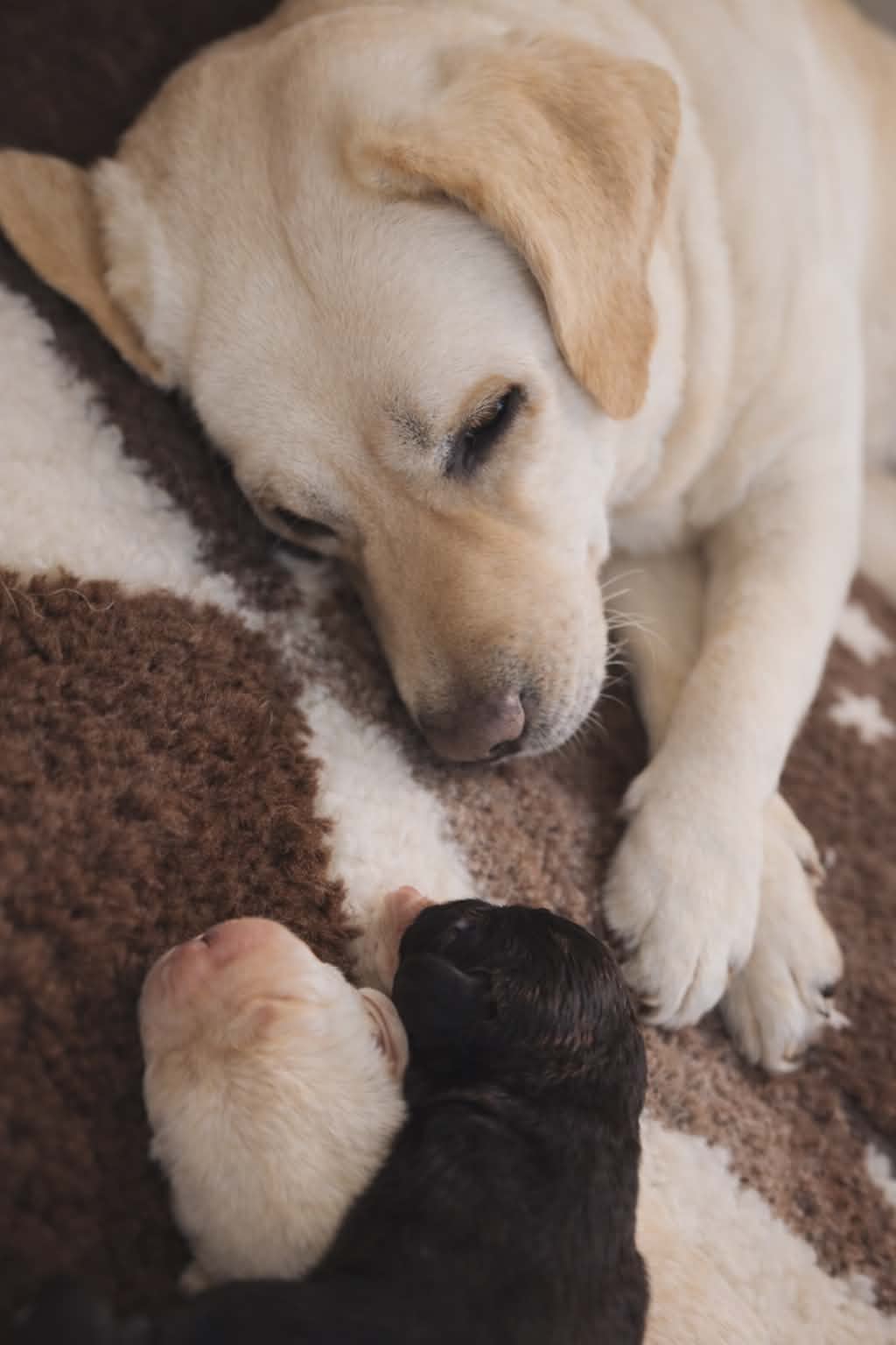 e28b4f57-6126-4fe3-baf7-546be4d60305