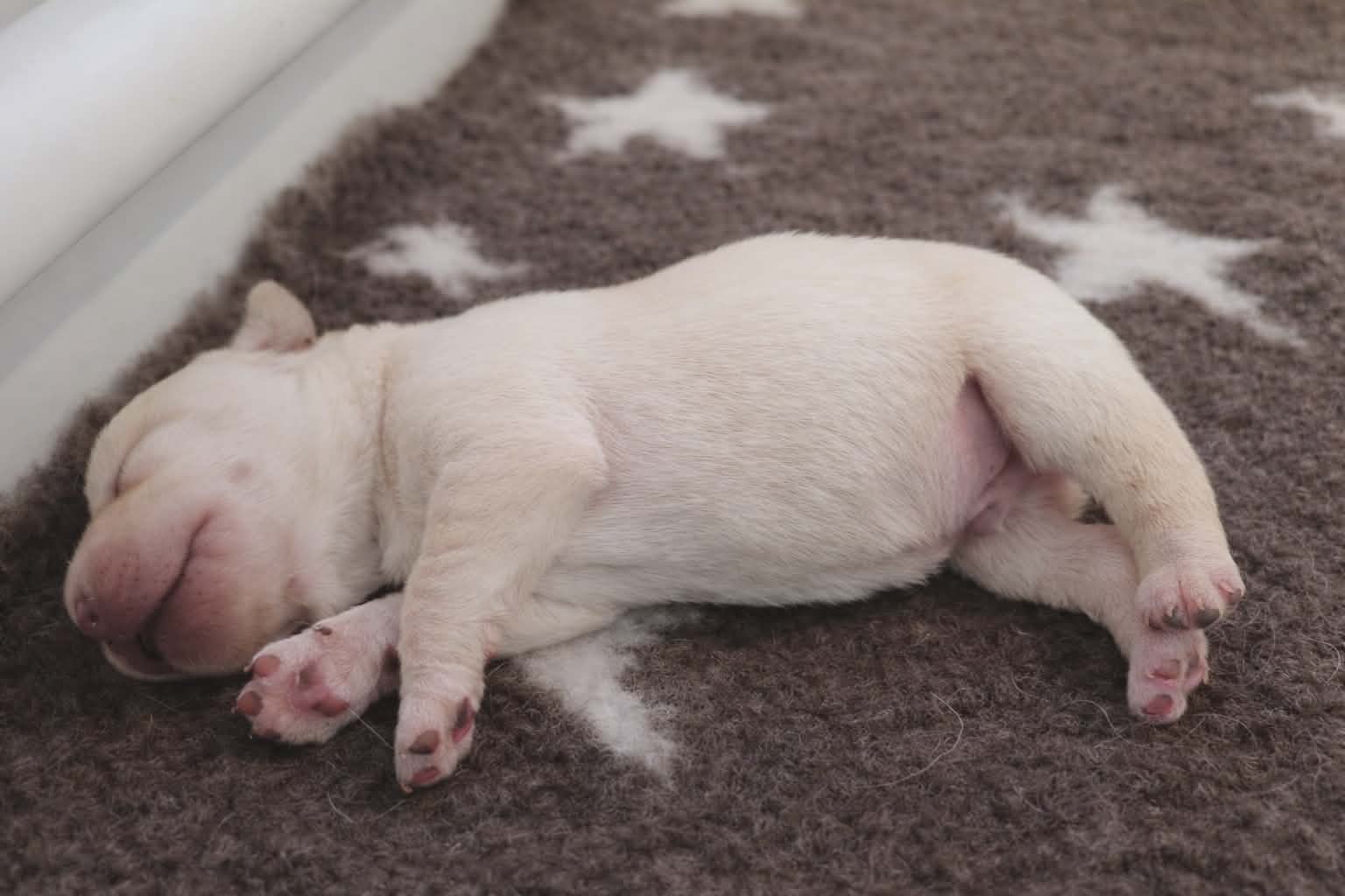 c911dbe0-cc6f-42d1-bb7f-30e28637a382