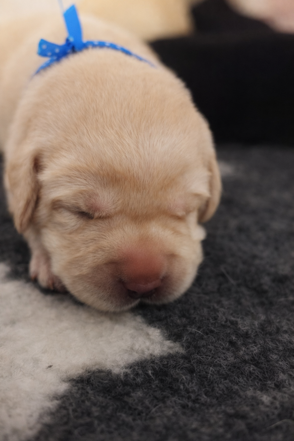 file_00000000e5c0720a9ee8ad1b894ad34b