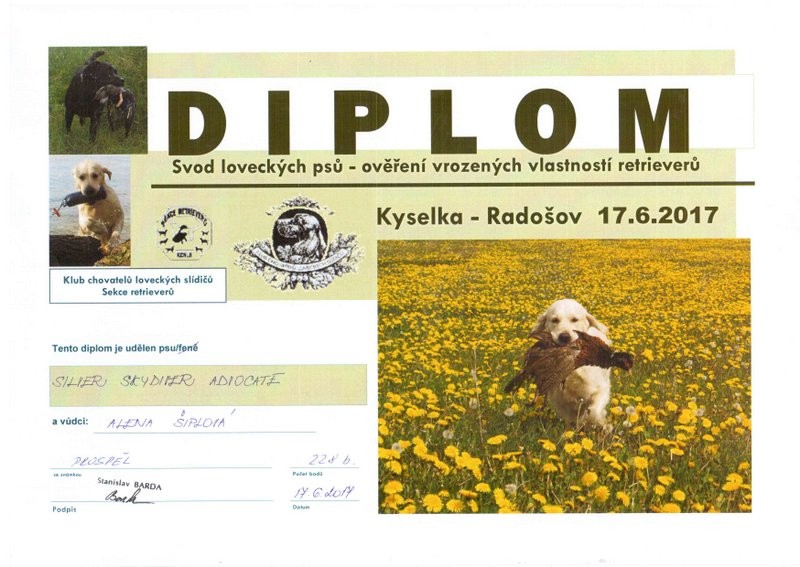 diplom---noe.jpg