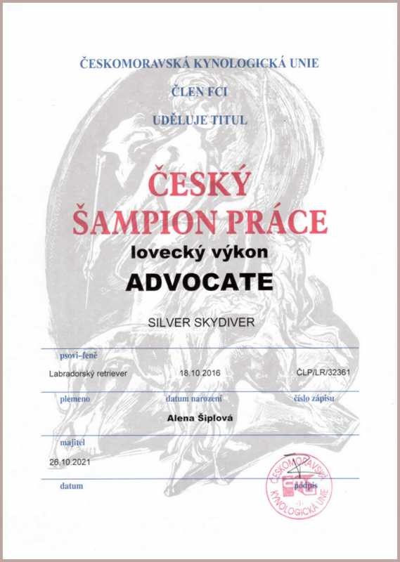 noe---sampion-prace.jpg