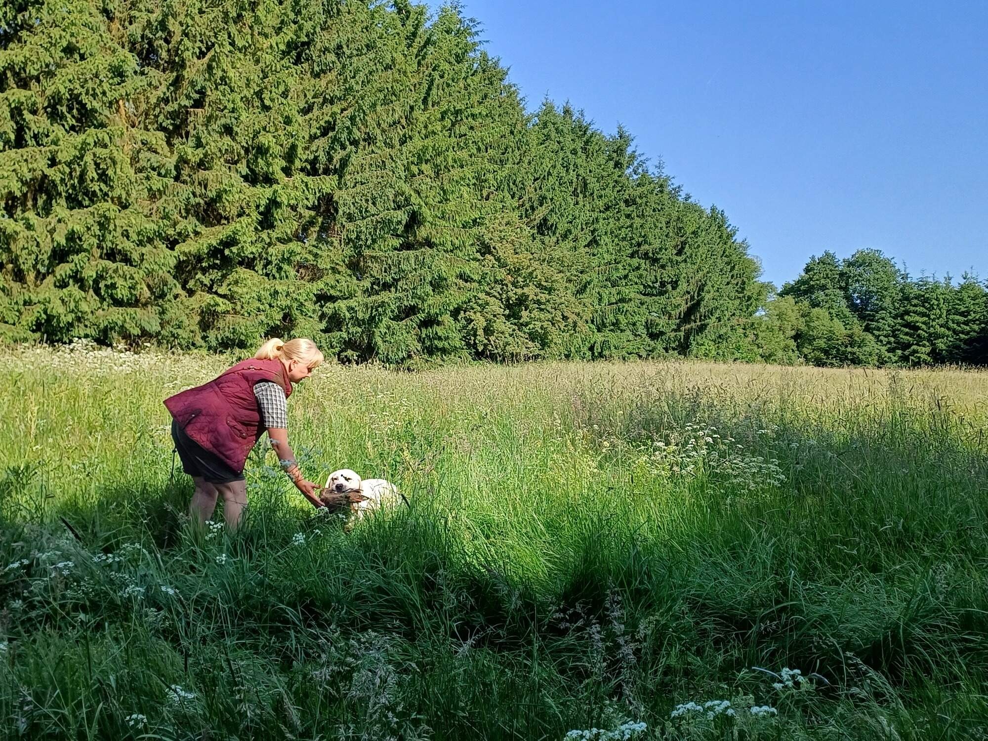 20250614_090251.jpg