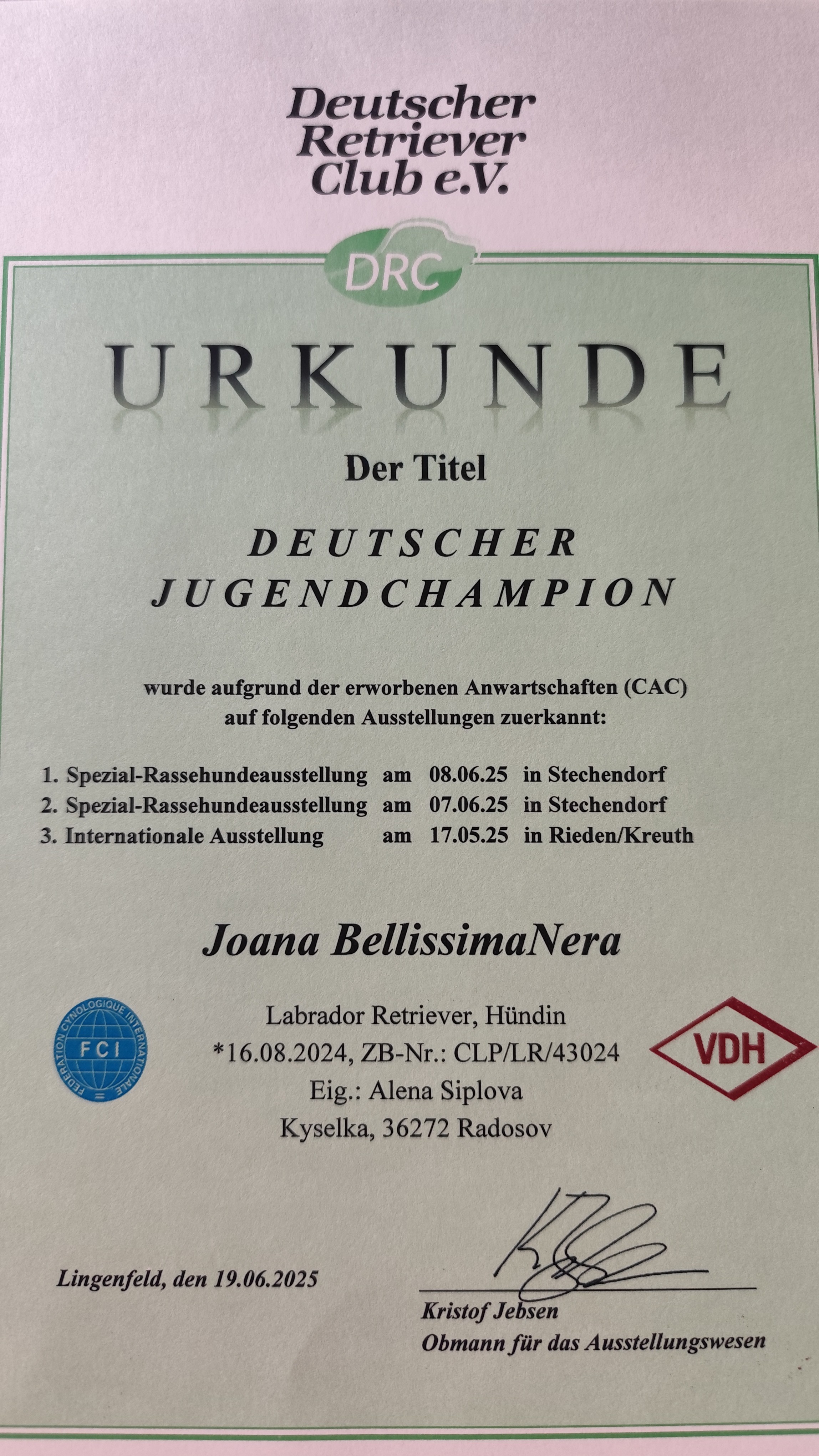 jch-drc---joana-bellissimanera.jpg