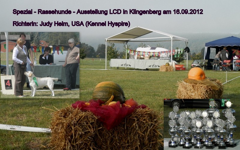 spezial-rassehunde-ausstellung-lcd-in-klingenberg-16.091.jpg